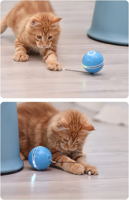 NUEVO PELOTA INTERACTIVA PARA GATOS